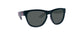 mini shades sunglasses